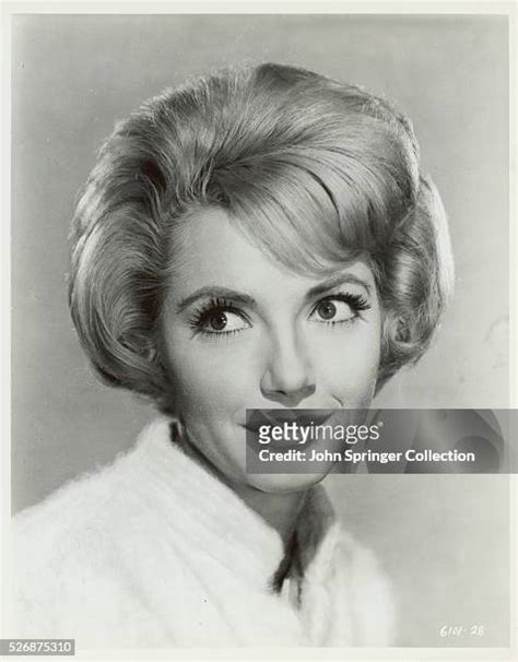 ruta lee sexy|737 Ruta Lee Photos Stock Photos and High